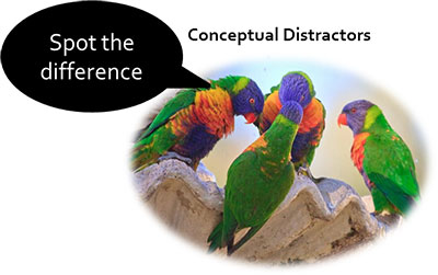 Conceptual Distractors